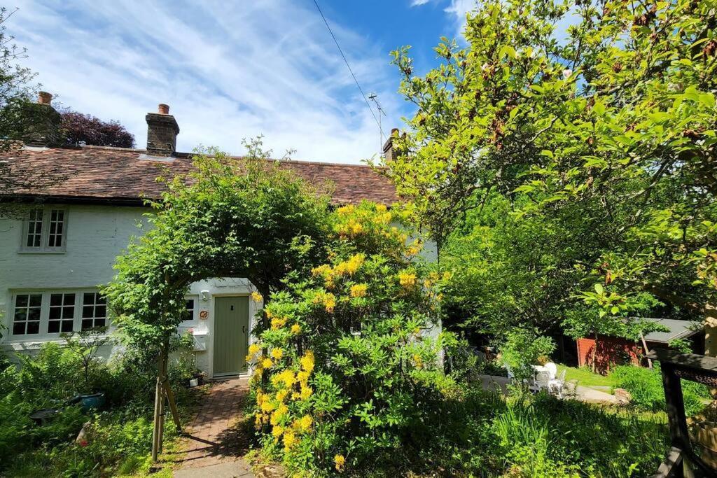 Ashdown Forest Character Cottage, 18Th Century Crowborough Extérieur photo